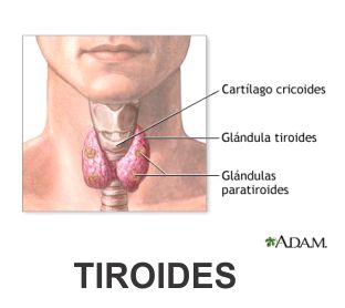 TIROIDES