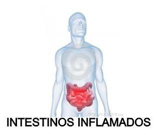 intestinos inflamados fibramor